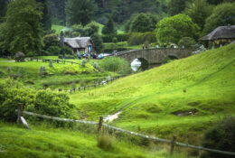 Хоббітон 2025 (27/30)