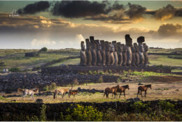 Easter Island 2014 (1/41)