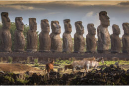 Easter Island 2014 (7/41)