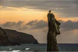 Easter Island 2014 (30/41)