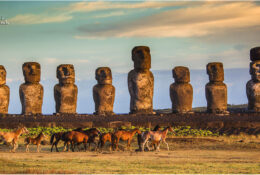Easter Island 2014 (33/41)