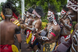 Papua 2014 (24/52)