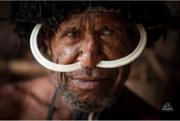 Tribe. The Last of the Mohikans (Papua 2014) (1/31)