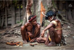 Tribe. The Last of the Mohikans (Papua 2014) (7/31)