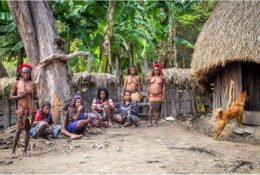 Tribe. The Last of the Mohikans (Papua 2014) (26/31)