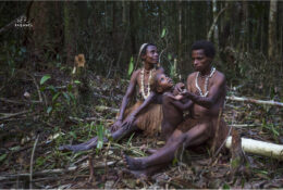 Папуа 2015: плем'я Коровай (5/65)