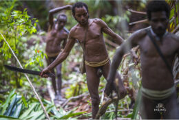 Папуа 2015: плем'я Коровай (20/65)