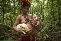 Папуа 2015: плем'я Коровай (24/65)