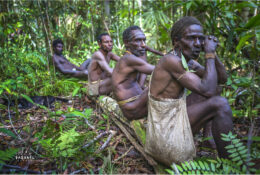 Папуа 2015: плем'я Коровай (26/65)