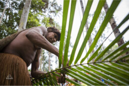 Папуа 2015: плем'я Коровай (31/65)