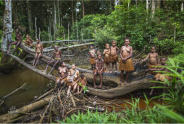 Папуа 2015: плем'я Коровай (33/65)