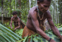 Папуа 2015: плем'я Коровай (34/65)