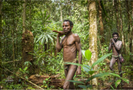 Папуа 2015: плем'я Коровай (35/65)