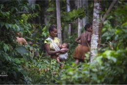 Папуа 2015: плем'я Коровай (43/65)