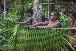 Папуа 2015: плем'я Коровай (46/65)