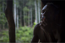 Папуа 2015: плем'я Коровай (55/65)