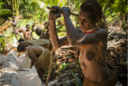 Папуа 2015: плем'я Коровай (57/65)