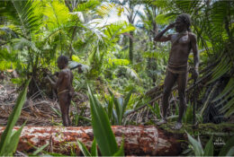Папуа 2015: плем'я Коровай (65/65)