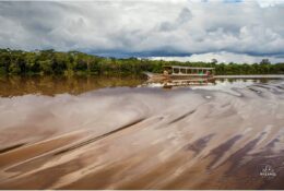 Амазонія (Перу, Колумбія) 2014 (7/41)