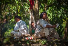 Індіанці Когі та Арсаріо. Колумбія 2014 (5/46)