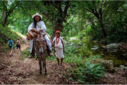Індіанці Когі та Арсаріо. Колумбія 2014 (13/46)