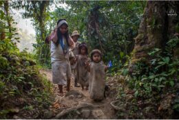 Індіанці Когі та Арсаріо. Колумбія 2014 (31/46)