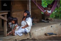 Індіанці Когі та Арсаріо. Колумбія 2014 (36/46)