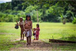 Індіанці Ваодані. Еквадор 2014 (2/35)