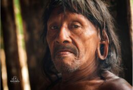 Індіанці Ваодані. Еквадор 2014 (4/35)