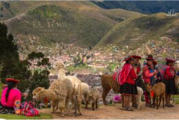 Перу 2014 (101/124)