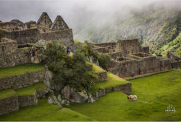 Перу 2015 (76/122)