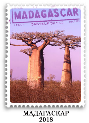 Мадагаскар (2018)