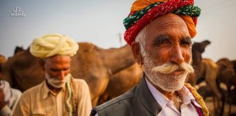 India, Camel Fair 2013 (фото)