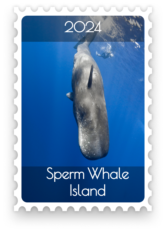 sperm whale island 2004