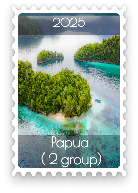 PAPUA-Raja Ampat 2026 (2 group)