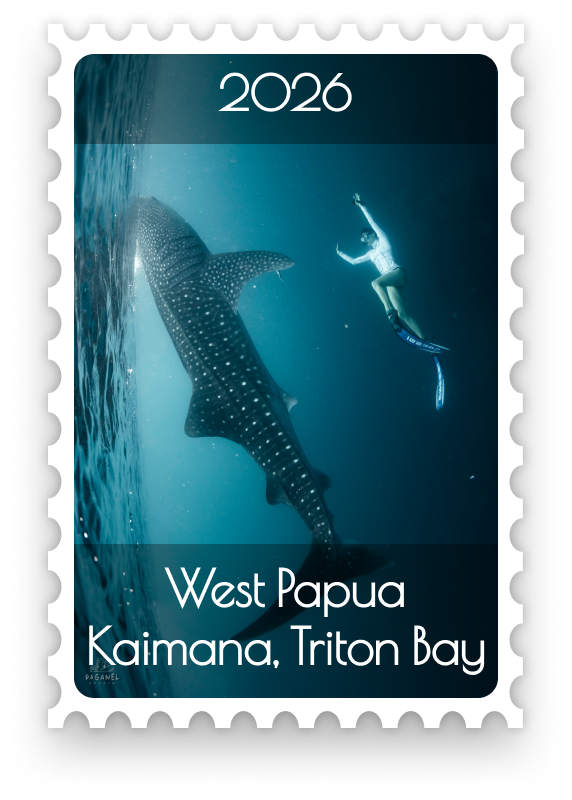 West Papua, Kaimana, Triton Bay 2026